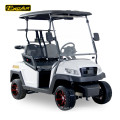 48V 2 Seater Utility Electric Golf Cart With Rain Cover